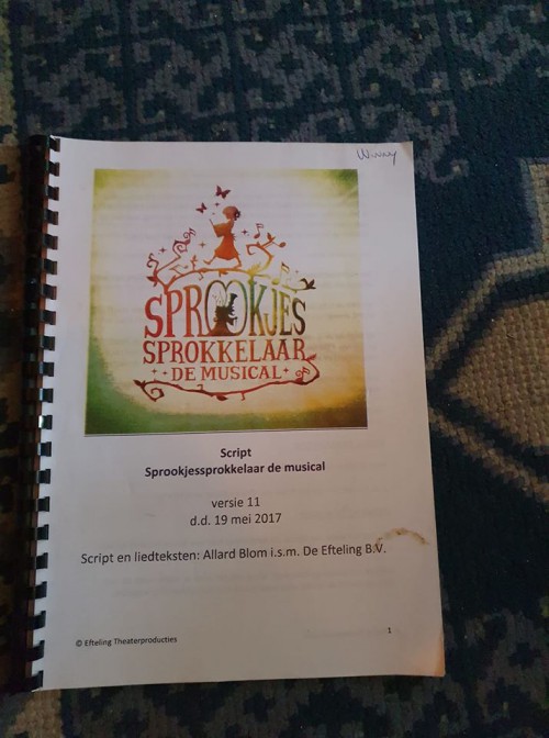 Script - Sprookjessprokkelaar