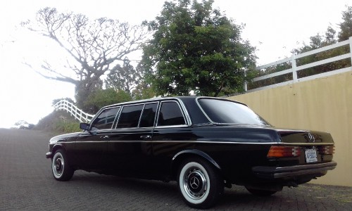 COSTA-RICA-PRIVATE-ESTATE-MERCEDES-300D-LANG-LIMOUSINE-SERVIVCE.cb50d255f09fb0bc.jpg