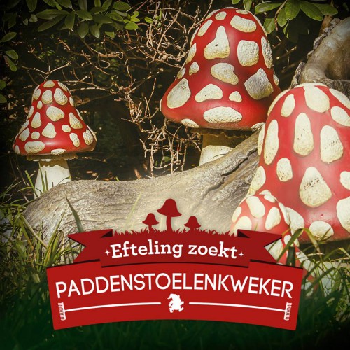 Efteling Zoekt - Paddenstoelenkweker