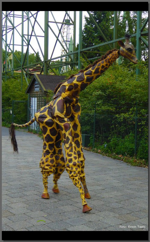 Giraffe in De Efteling