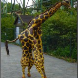 Giraffe-in-Efteling240f7da324215dc5