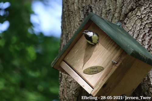 Vogelhuisje